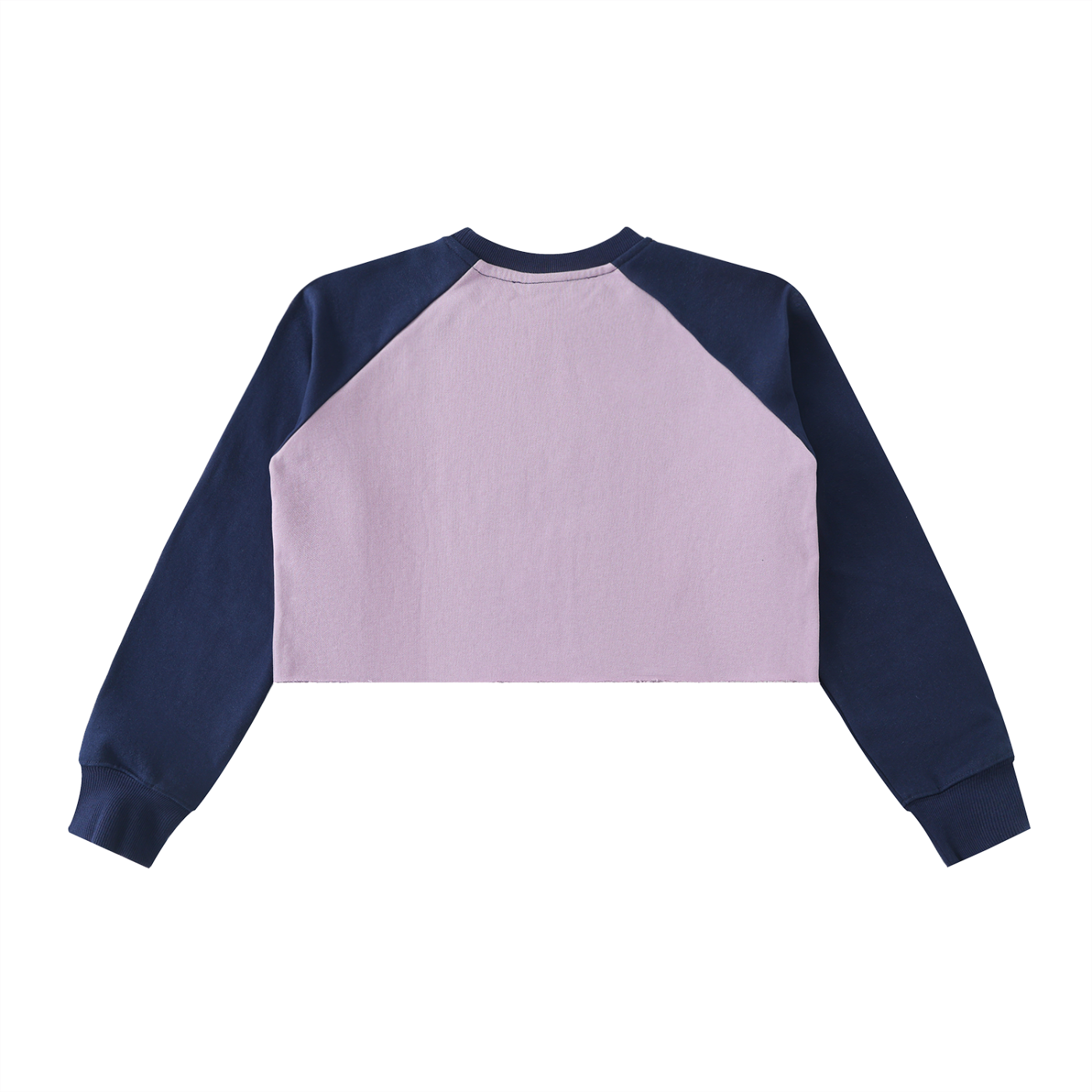 Womens' Crop Sweatshirt,Faith Based Apparel,Child of God,Block Raglan Crop,Cotton Blend,Daily Casual,Body-Con,Muti-Season,Raw-Hem,Graphic Desig